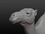 Maille de base camel
