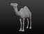 Maille de base camel