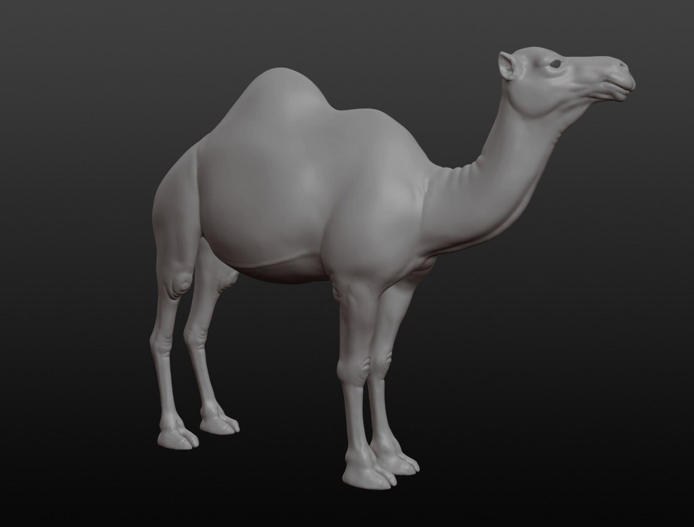 3D camel base mesh model https://p.turbosquid.com/ts-thumb/hC/WJI1mX/gAHRPJnh/camel014/jpg/1579403780/1920x1080/fit_q87/507471c5395325a105f4a21175d9629d6d7e4280/camel014.jpg