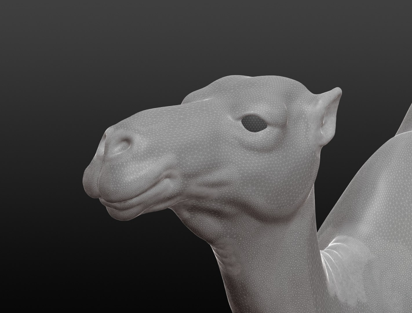 3D camel base mesh model https://p.turbosquid.com/ts-thumb/hC/WJI1mX/l7KY7p6R/camelwireframe001/jpg/1579403780/1920x1080/fit_q87/7bc415bea8c3c19b106f12242188a3c0572f63ec/camelwireframe001.jpg