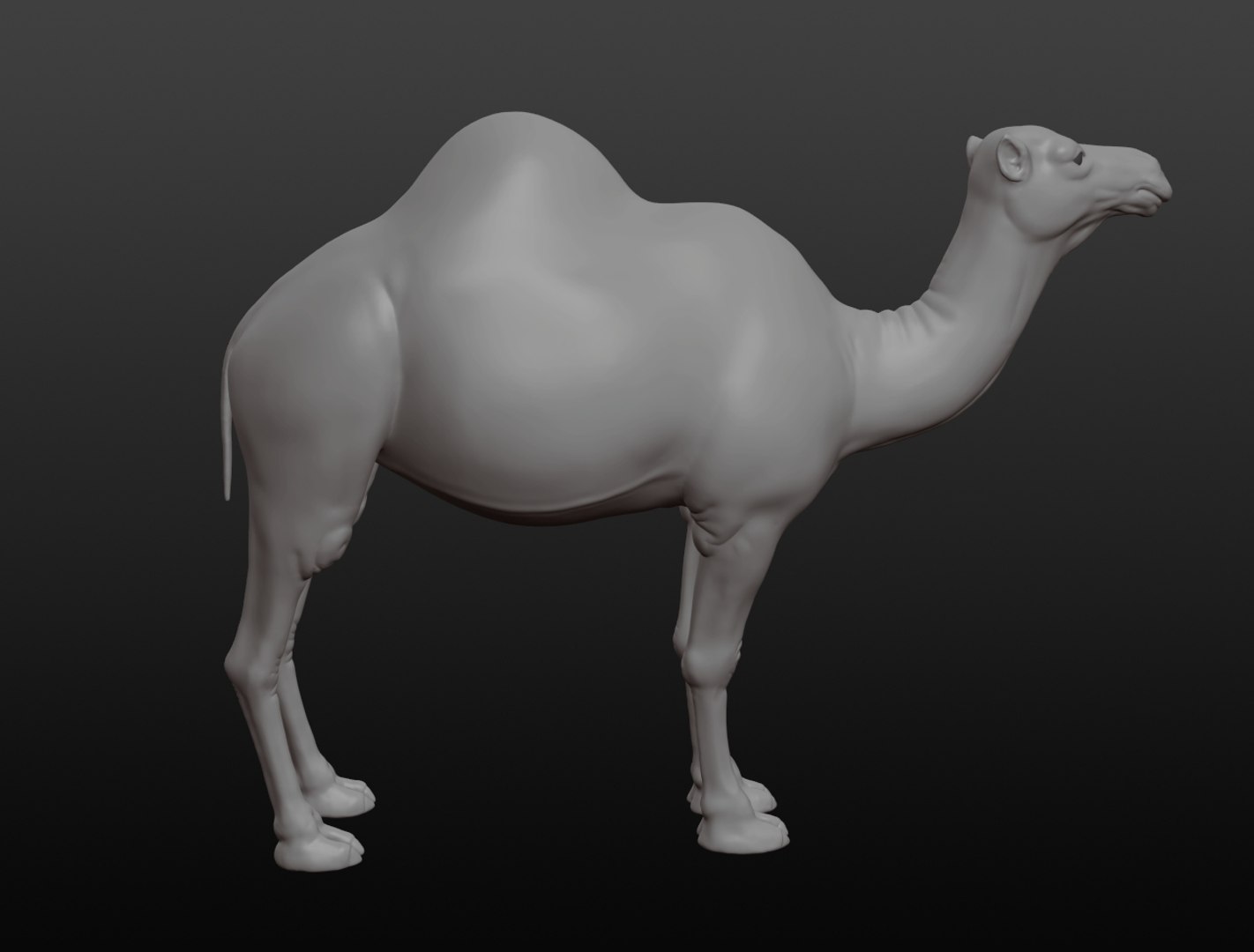 3D camel base mesh model https://p.turbosquid.com/ts-thumb/hC/WJI1mX/qEnjQAVH/camel013/jpg/1579403780/1920x1080/fit_q87/68d8232cf016f71937b7eede3853b0044f16eb35/camel013.jpg