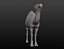 Maille de base camel