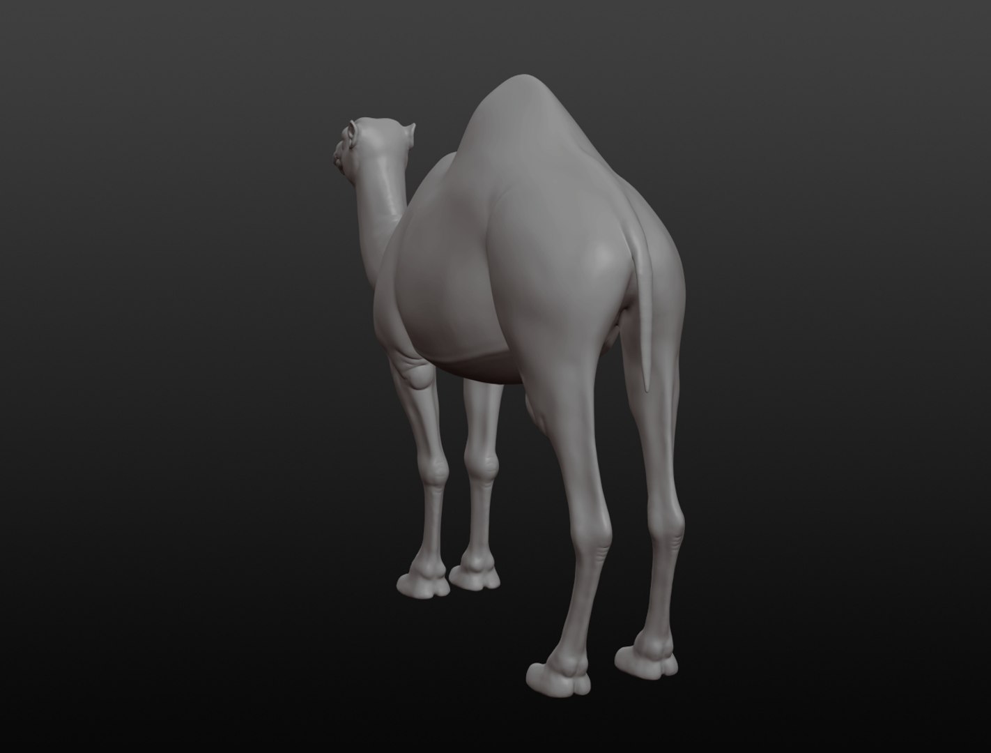 3D camel base mesh model https://p.turbosquid.com/ts-thumb/hC/WJI1mX/uLa7bOex/camel011/jpg/1579403780/1920x1080/fit_q87/8590f626779f6a0989a2cc45dcfb615f5f581b06/camel011.jpg