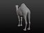 Maille de base camel