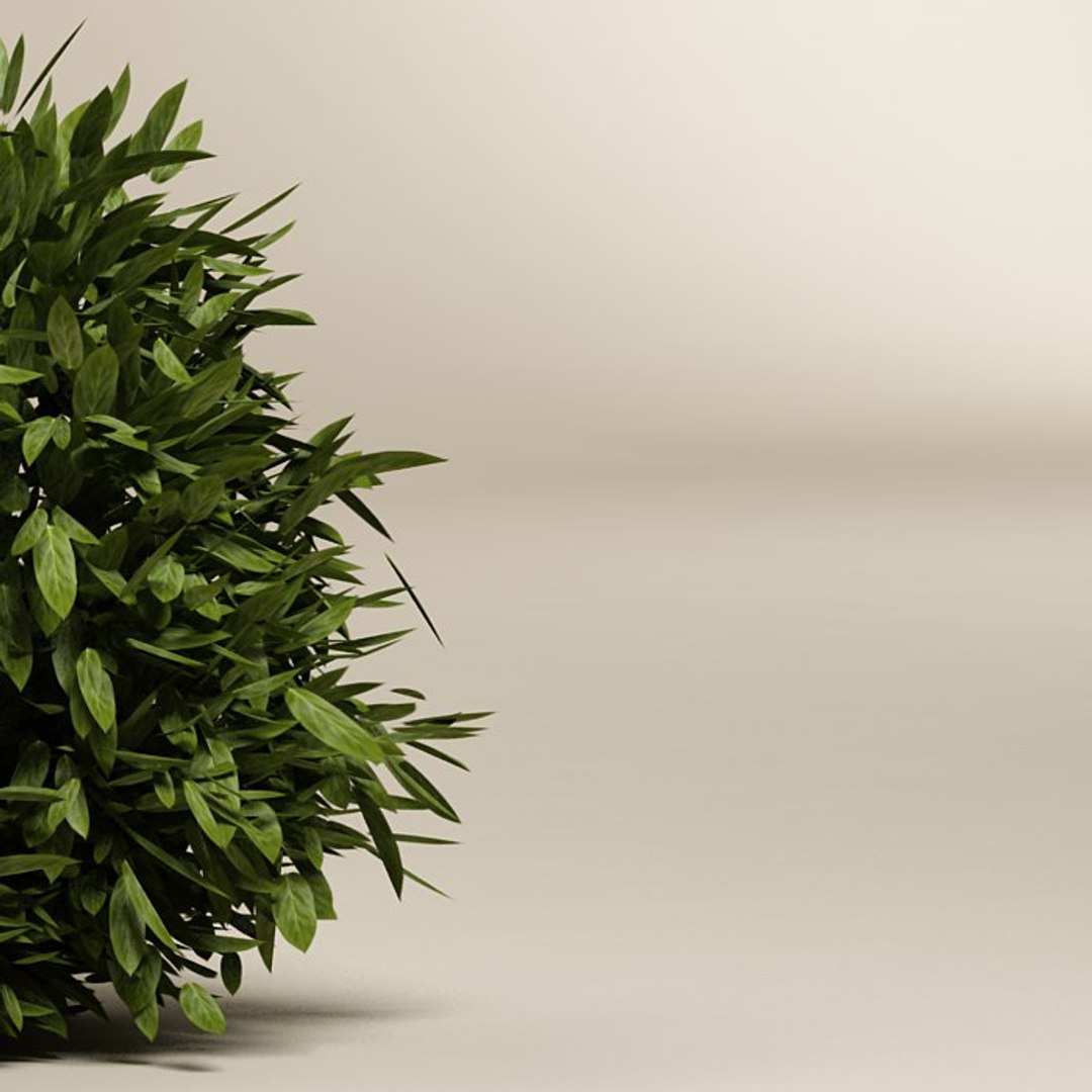 3d plant bush https://p.turbosquid.com/ts-thumb/hC/cDfKcL/VTDITMbo/a4.bmpa41d4f9418694e7e8eebbdb3fbda689eoriginal/jpg/1490717460/1920x1080/fit_q87/67124dd044383d6820eb5a77b31a802d096507c8/a4.bmpa41d4f9418694e7e8eebbdb3fbda689eoriginal.jpg