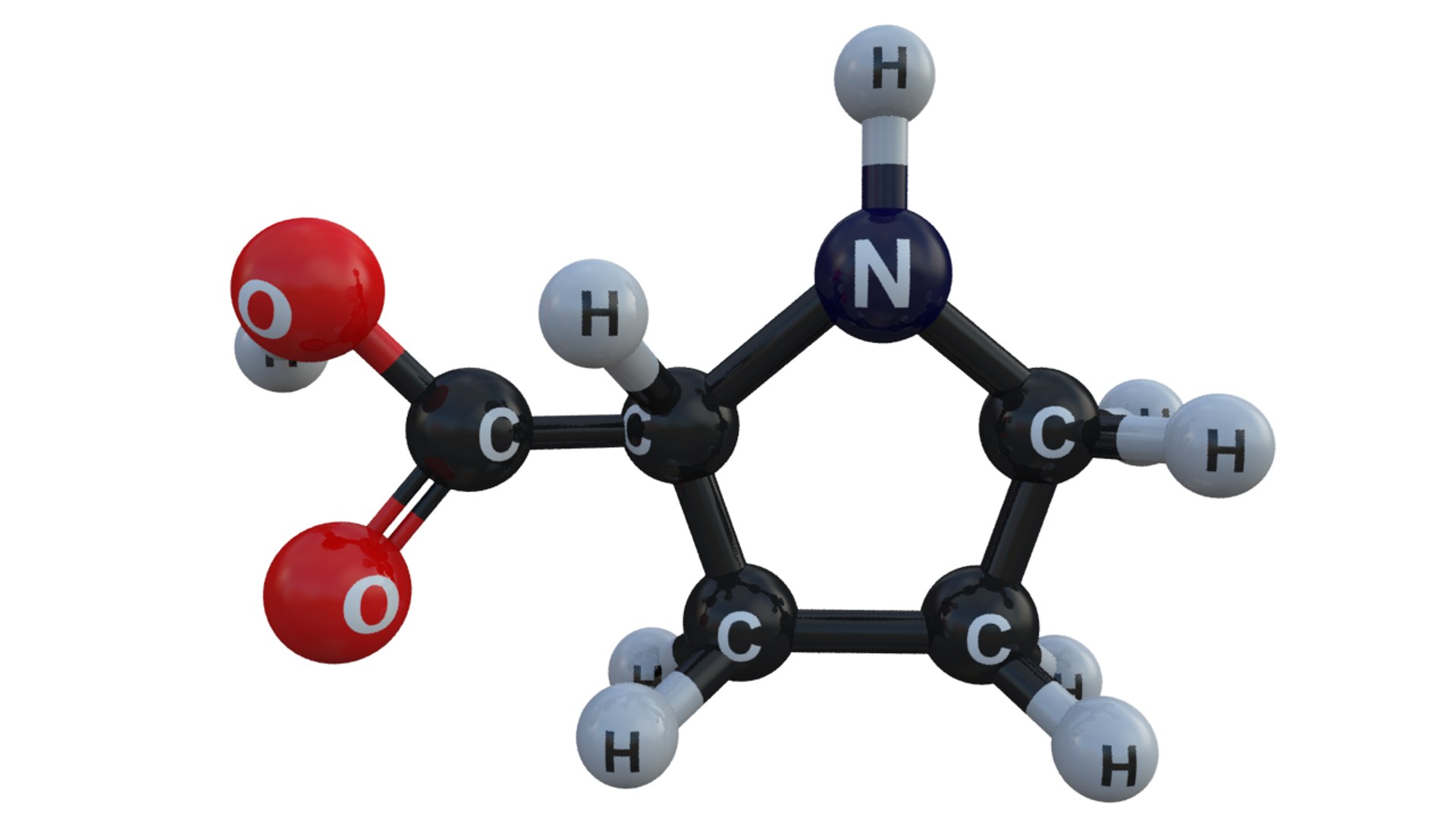 amino acid structure 3d