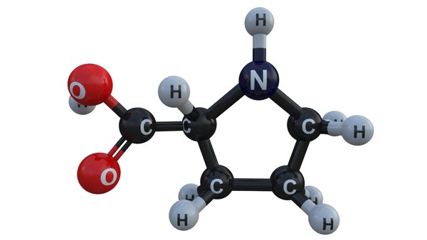 3d proline acid amino