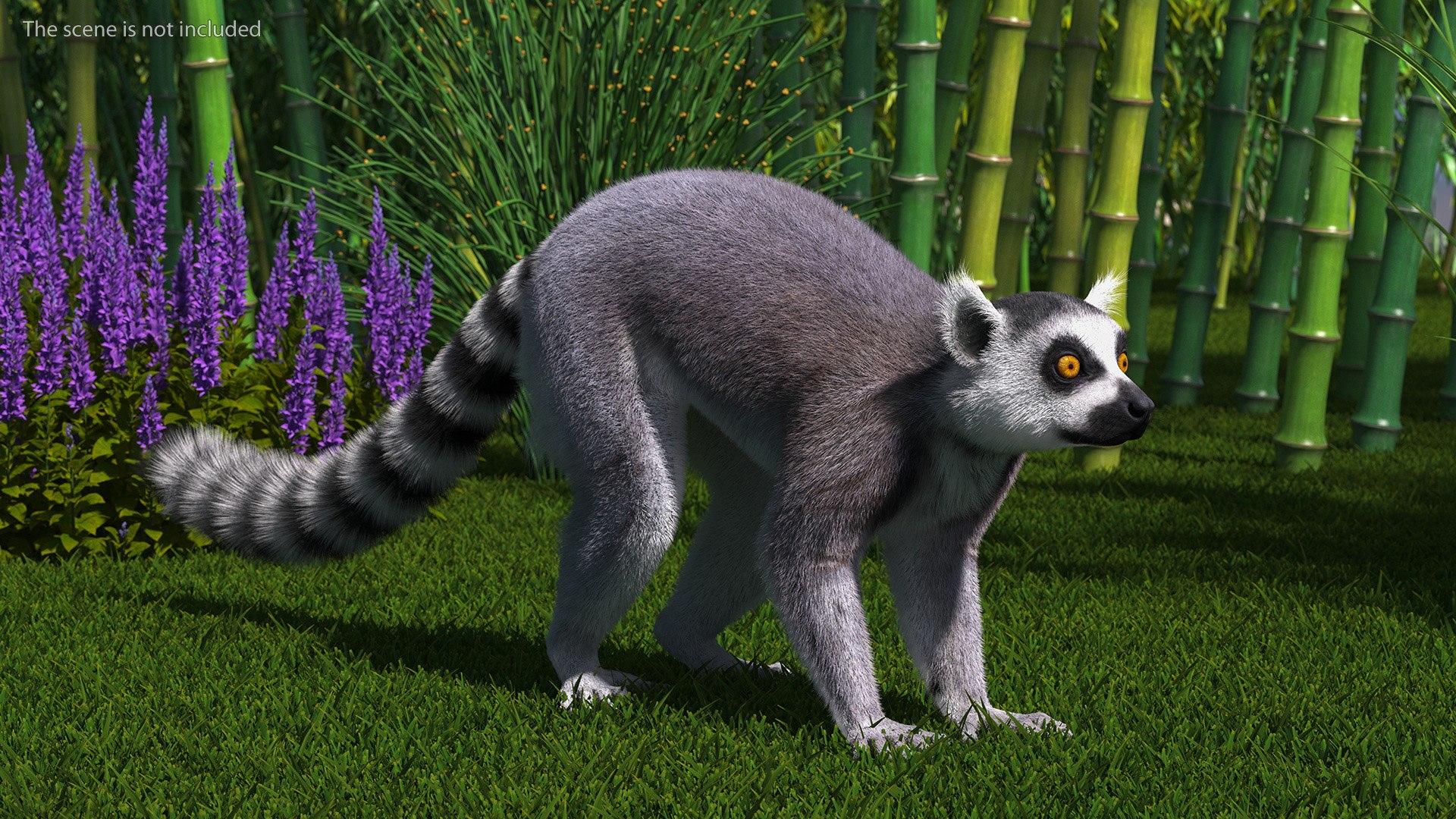 3D Lemur Fur Model - TurboSquid 2191767