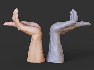 3D model Male Hand Pose 25