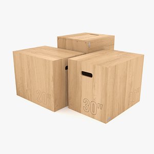 Paragon Studio Luxury Gym Equipment Wooden Plyo Jump Box