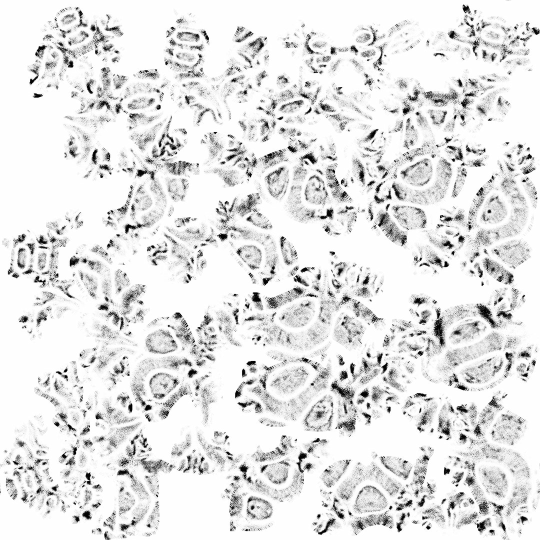 max human spine os sacrum https://p.turbosquid.com/ts-thumb/hD/FxJEHY/0R14oC4b/ultimatehumanspinecave/jpg/1365696393/1920x1080/fit_q87/f980f2dd81c1b85a3476cd576128c33014adc7f6/ultimatehumanspinecave.jpg