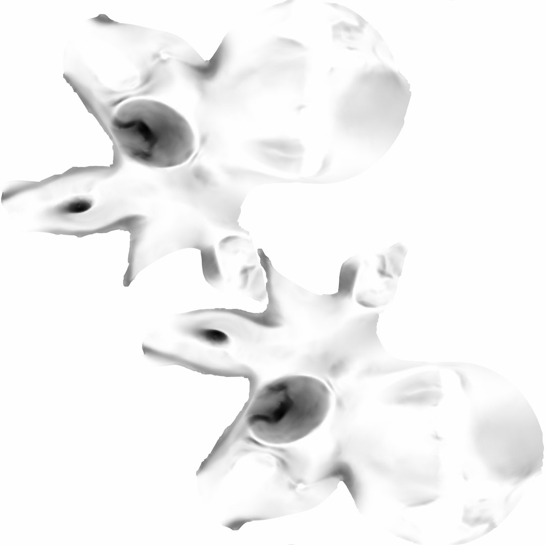 max human spine os sacrum https://p.turbosquid.com/ts-thumb/hD/FxJEHY/7HJzi3ke/pelvisambocc/jpg/1365696393/1920x1080/fit_q87/270a1b39f7edef1b83ff2ad5af822b980bb49571/pelvisambocc.jpg