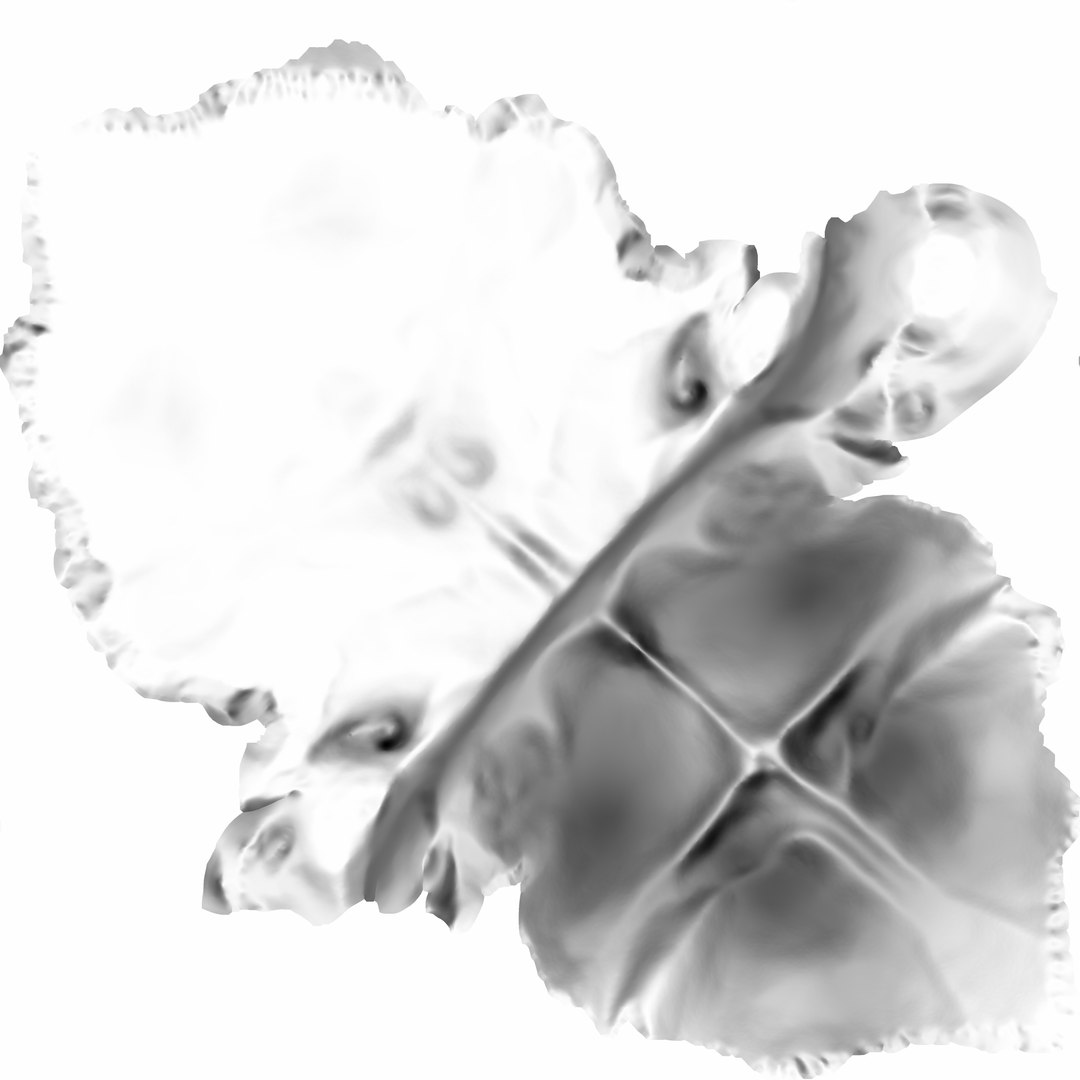 max human spine os sacrum https://p.turbosquid.com/ts-thumb/hD/FxJEHY/BW9Z0UH7/osoccipitaleambocc/jpg/1365696393/1920x1080/fit_q87/e3abaa149f8784516d05f8971956385a74b2f85c/osoccipitaleambocc.jpg
