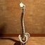Ultimate Human Spine with Pelvis and Os Sacrum