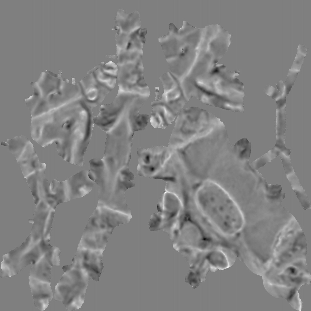 max human spine os sacrum https://p.turbosquid.com/ts-thumb/hD/FxJEHY/JY04uer2/ossacrumdisplace/png/1365696393/1920x1080/fit_q87/7f1f676e6e94e05e3f0a35fb51188788e20121c8/ossacrumdisplace.jpg