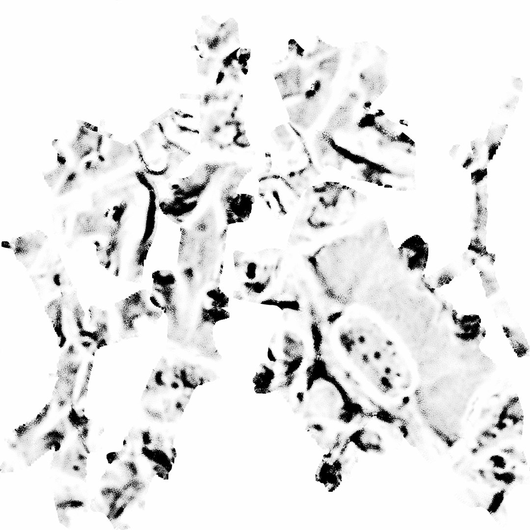 max human spine os sacrum https://p.turbosquid.com/ts-thumb/hD/FxJEHY/h35ysjyN/ossacrumcave/jpg/1365696393/1920x1080/fit_q87/c2075de0a8dcc65dbf81f92d244688ba2baaee2b/ossacrumcave.jpg