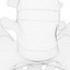 Ultimate Human Spine with Pelvis and Os Sacrum