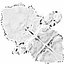 Ultimate Human Spine with Pelvis and Os Sacrum