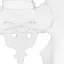 Ultimate Human Spine with Pelvis and Os Sacrum