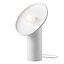 Polina Artamonova Moon Light Desk Lamp