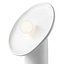 Polina Artamonova Moon Light Desk Lamp