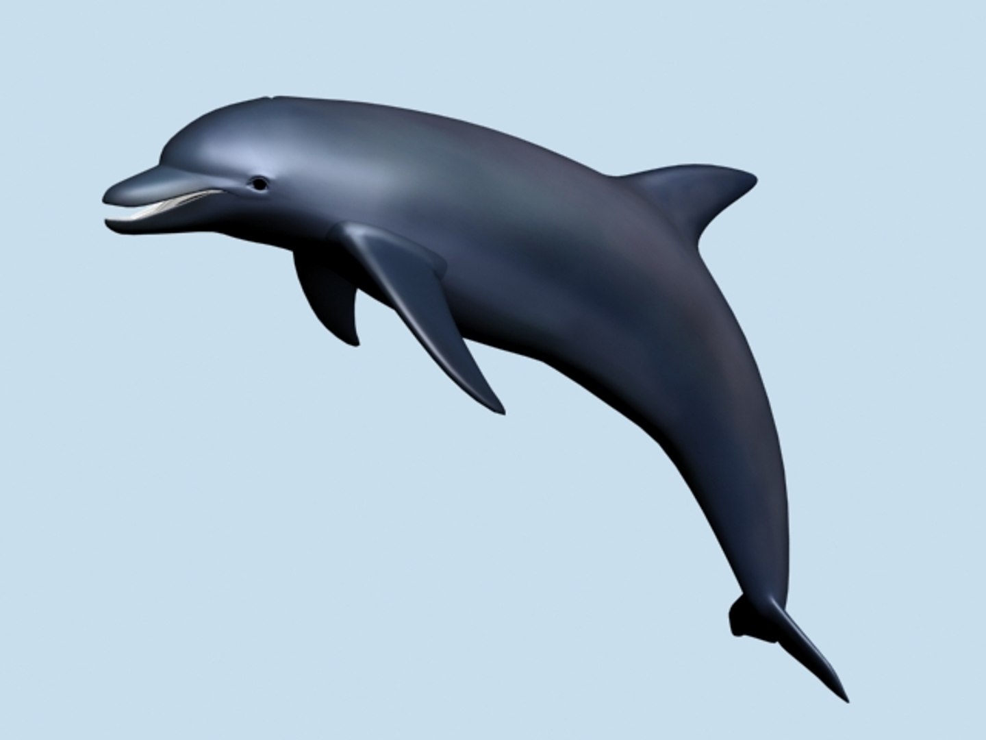 Dolphin Leaping X