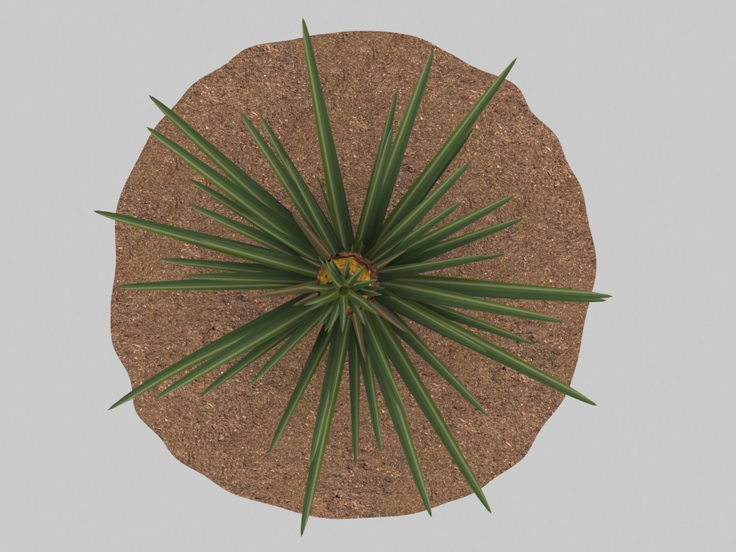 3D pineapple growing model https://p.turbosquid.com/ts-thumb/hD/WEnTAP/0hLjOzBN/7/jpg/1551393398/1920x1080/fit_q87/439e6a652d1d77a0d8a8484fc34ad8c0b48979f6/7.jpg