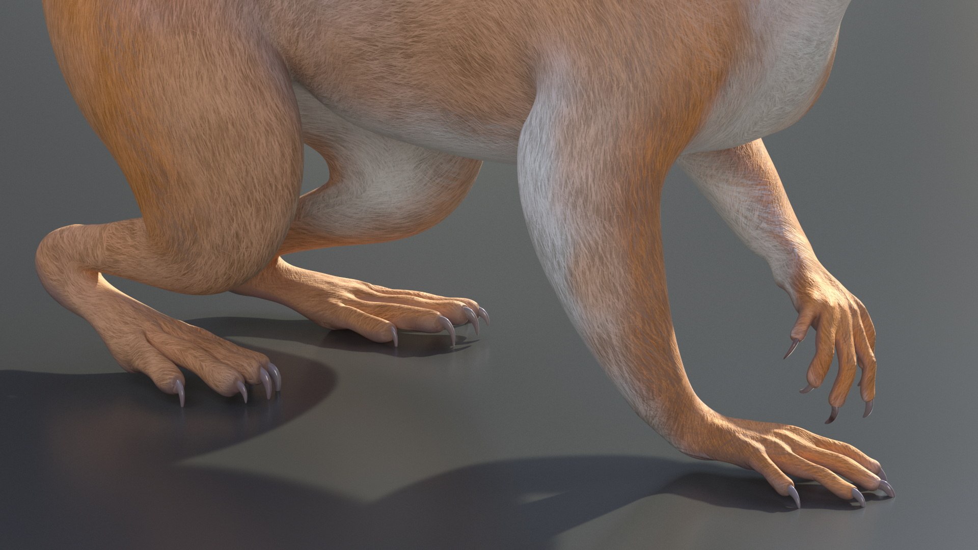 3D Red Squirrel Rigged For Cinema 4D Model - TurboSquid 2280283