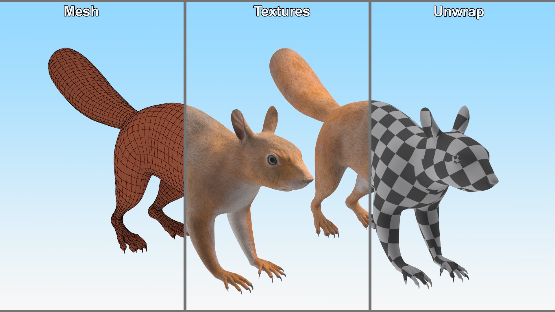 3D Red Squirrel Rigged For Cinema 4D Model - TurboSquid 2280283