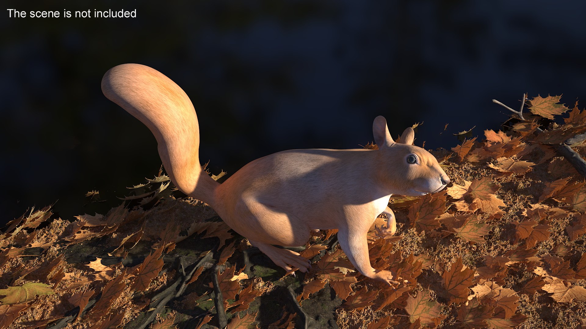 3D Red Squirrel Rigged For Cinema 4D Model - TurboSquid 2280283