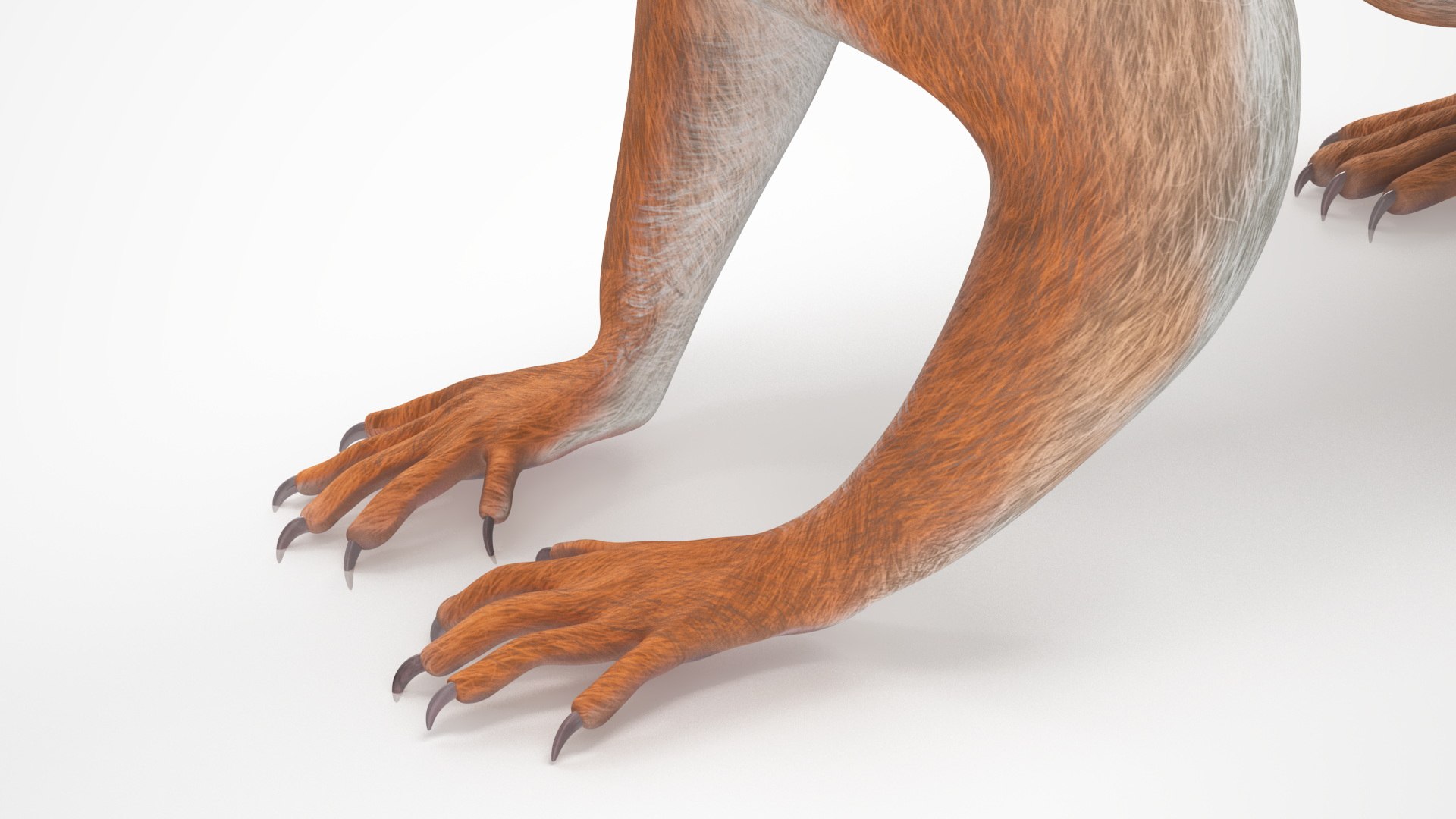 3D Red Squirrel Rigged For Cinema 4D Model - TurboSquid 2280283