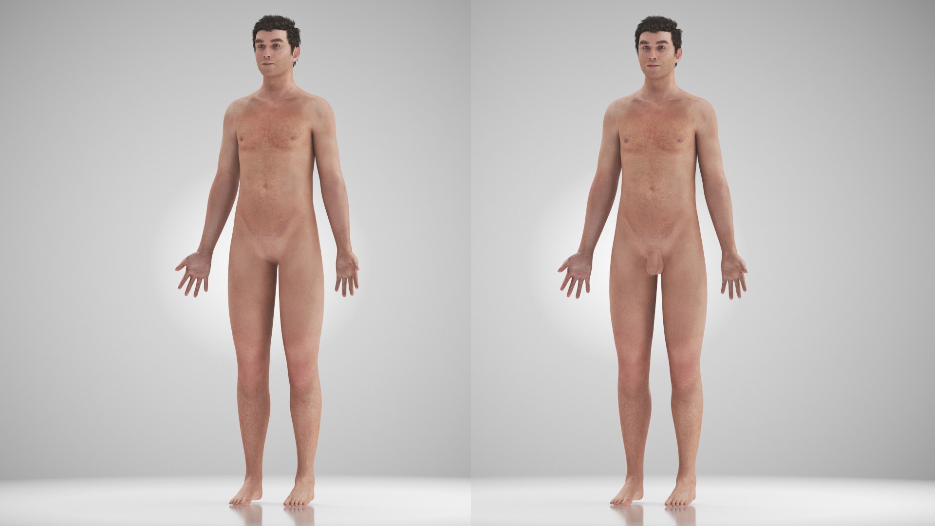 Human Cardiovascular system with  body 3D model https://p.turbosquid.com/ts-thumb/hD/fZW4po/5I/bodyskinanatomy_00035/jpg/1657049681/1920x1080/fit_q87/27f9d0372bdedcaaf78eb07de1bb6c34c185c46c/bodyskinanatomy_00035.jpg