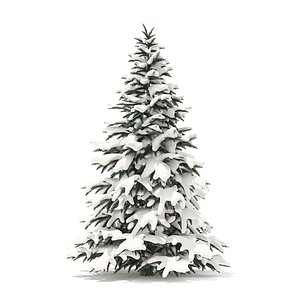 3D spruce tree snow 2 model