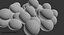 Bakterie Staphylococcus Aureus