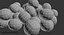 Bakterie Staphylococcus Aureus