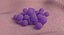 Bakterie Staphylococcus Aureus