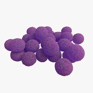 Staphylococcus Aureus Bacteria
