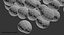 Bakterie Staphylococcus Aureus