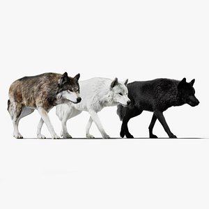 Wolf Pack Animated UNREAL project model