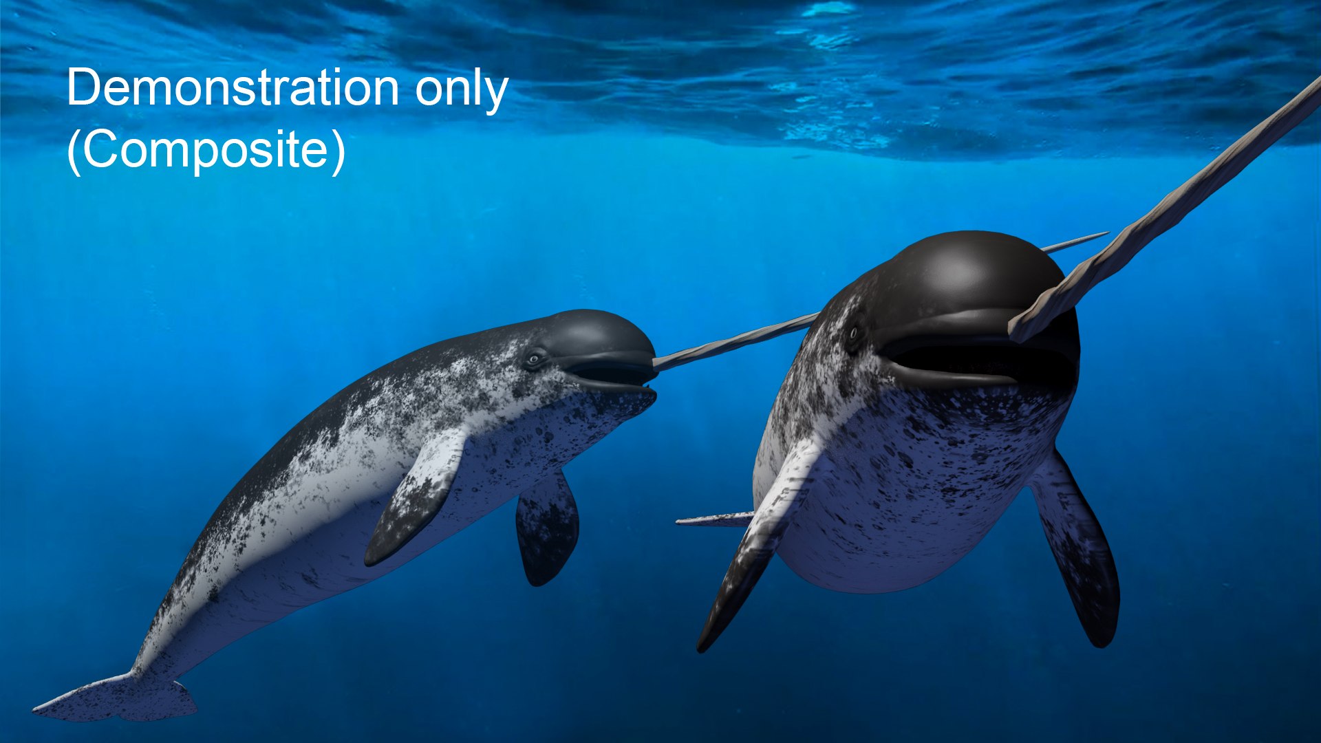 3D Narwhal https://p.turbosquid.com/ts-thumb/hE/2ewd0P/1u/demo00/jpg/1674732313/1920x1080/fit_q87/1d6f9045873d42a913524954ed768e0dfae2f42e/demo00.jpg