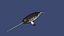 Narwhal