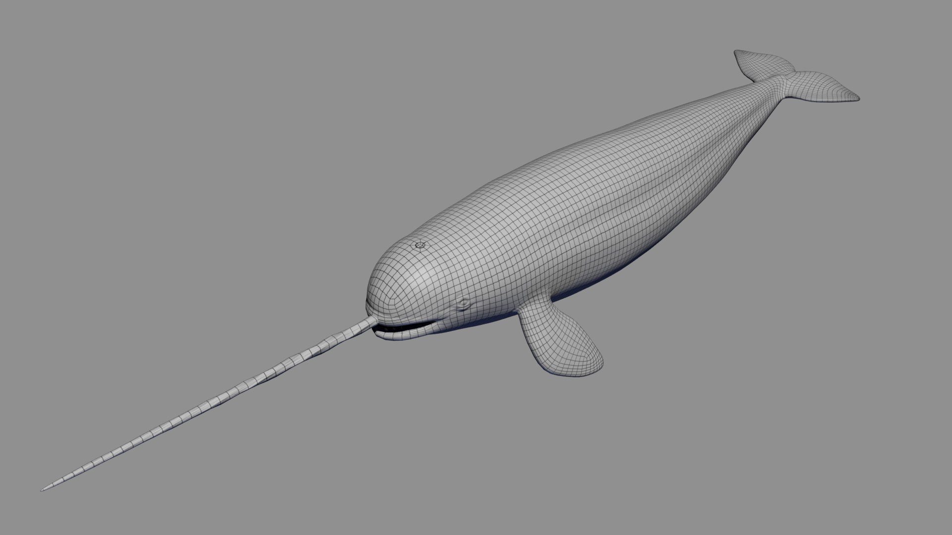 3D Narwhal https://p.turbosquid.com/ts-thumb/hE/2ewd0P/LS/weauty0000/jpg/1674732711/1920x1080/fit_q87/7716f4fa74424253c4ea5f7f62b0e66f8e696284/weauty0000.jpg