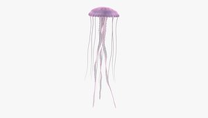 3D jellyfish underwater
