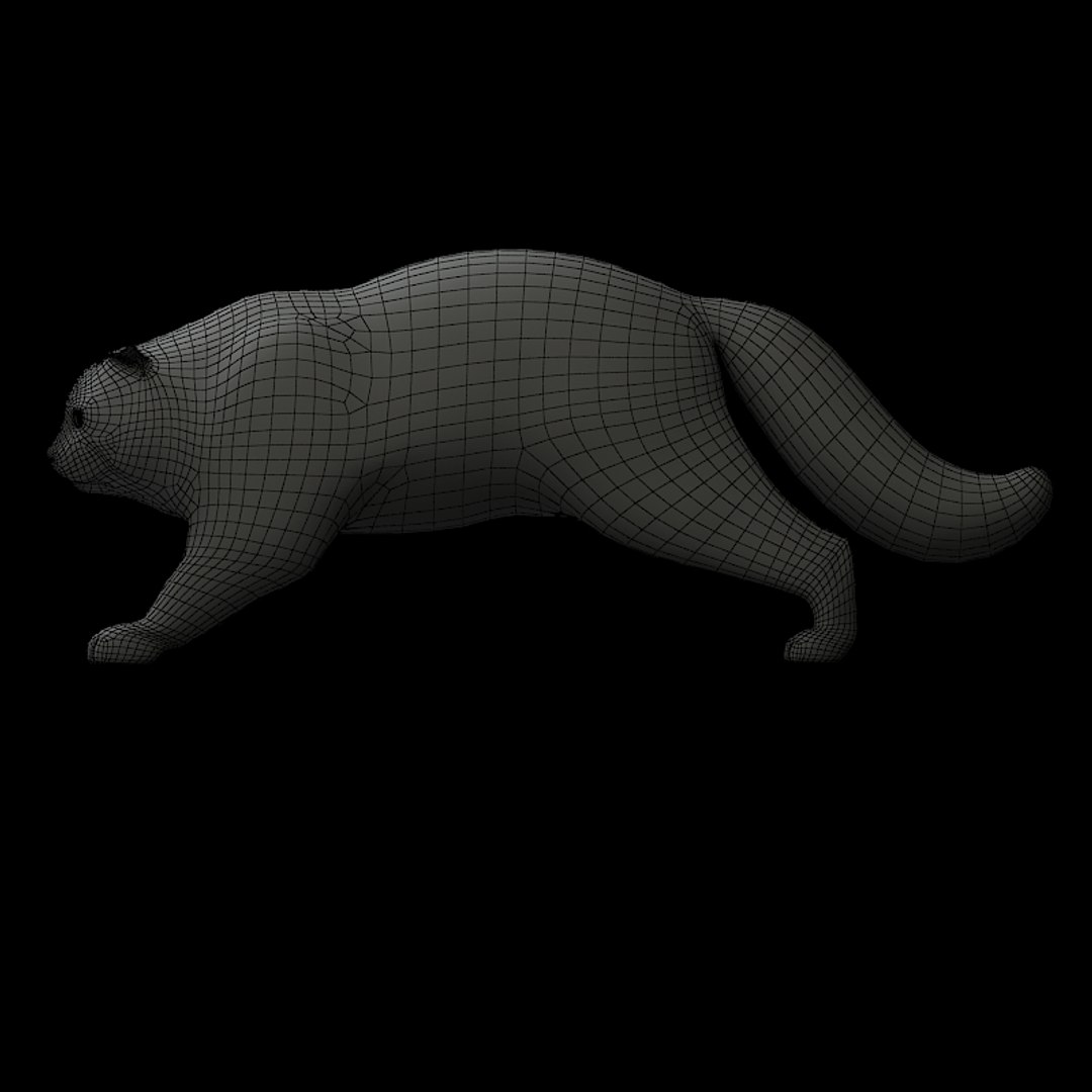 manul cat 3d ma https://p.turbosquid.com/ts-thumb/hE/DjSPtV/8233Y9YT/manul3w/jpg/1235211264/1920x1080/fit_q87/099555e58b288034490995f7830313b43f7eaa6b/manul3w.jpg