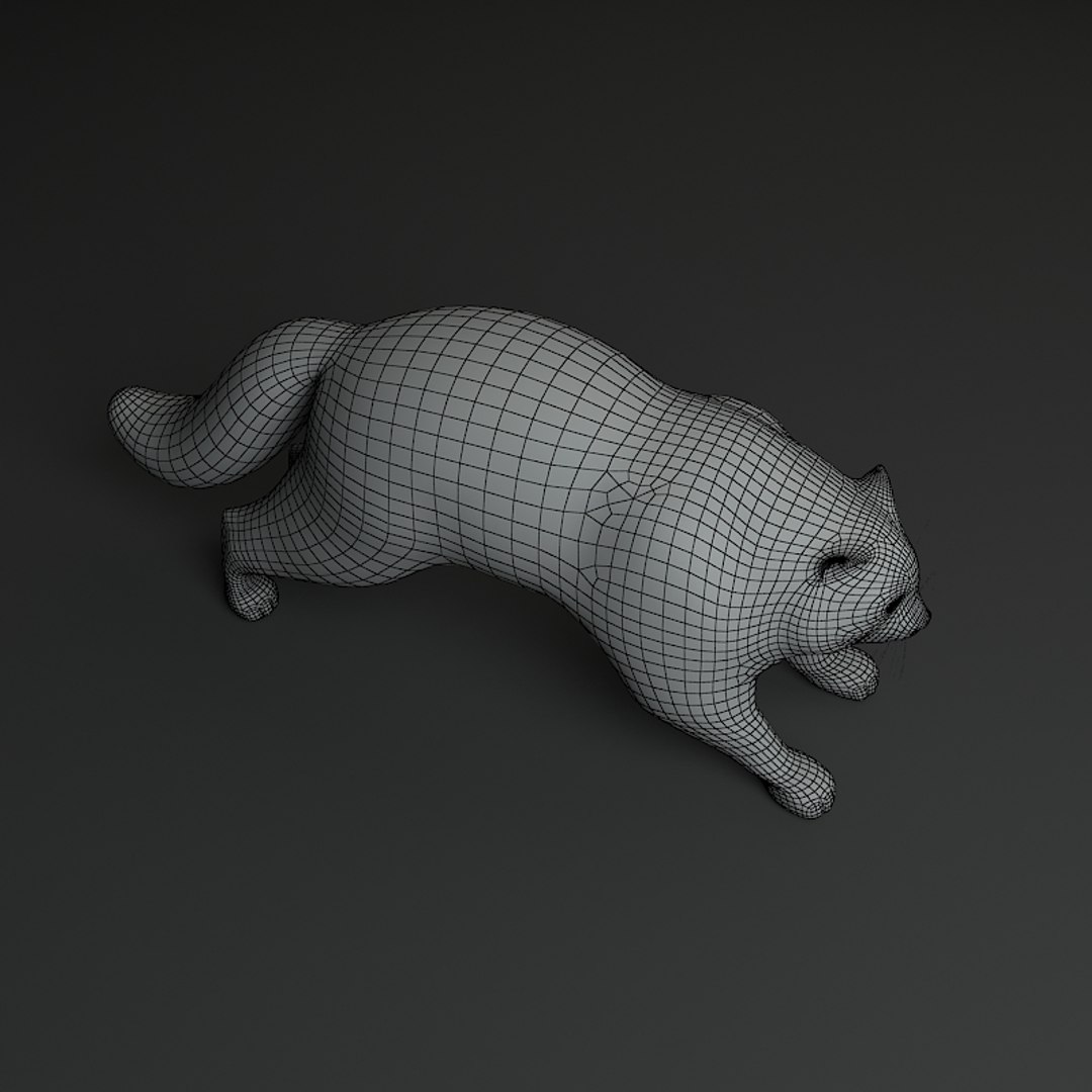 manul cat 3d ma https://p.turbosquid.com/ts-thumb/hE/DjSPtV/d4TQwWG5/manul2w/jpg/1235211254/1920x1080/fit_q87/b8fc79b9ef499579b80174838677525fd54d0641/manul2w.jpg