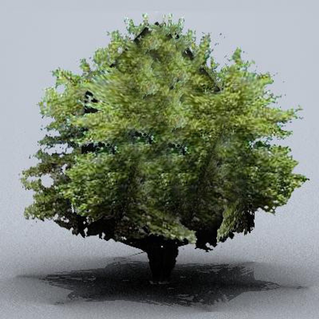 Small Trees 3ds