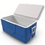 Ice Chest Coleman