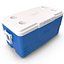 Ice Chest Coleman