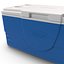 Ice Chest Coleman