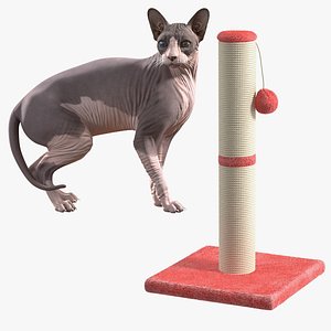 Rigged Sphynx Cat with Cat Scratching Post Collection for Cinema 4D 3D model